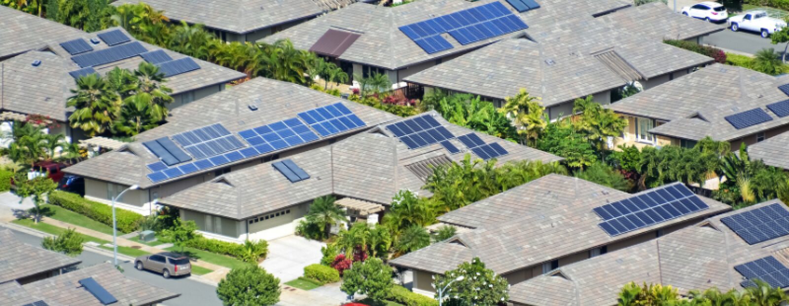 Reimagining Climate Action in Cities: How cities can lead the charge towards a net zero, resilient future
