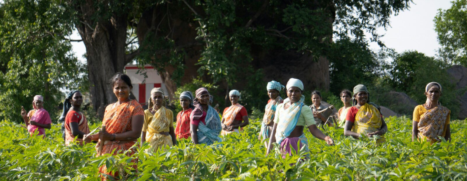 Listening as a tool to reimagine governance: Madina and Padma’s story
