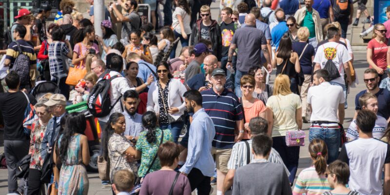 Human Learning Systems: A Complexity Friendly Approach to Public Services